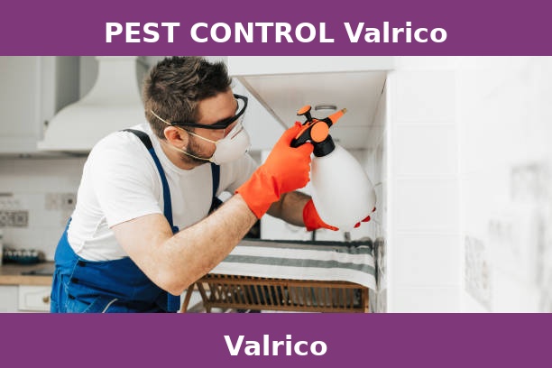 PEST CONTROL Valrico